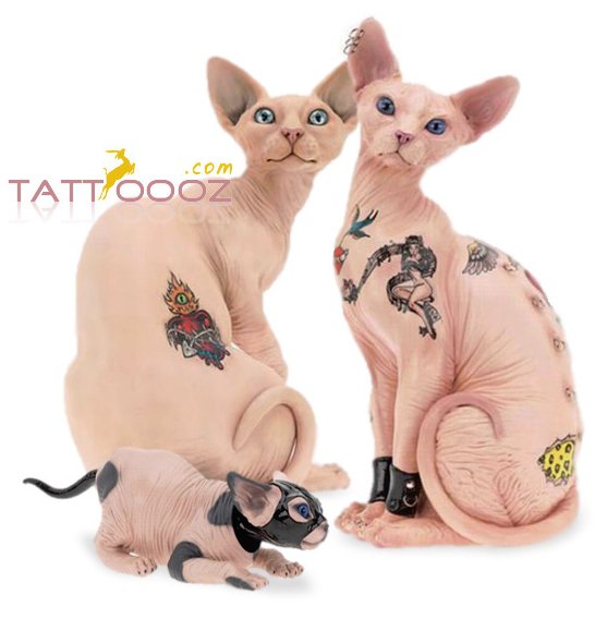 Татуировщики начали украшать рисунками кошек и собак